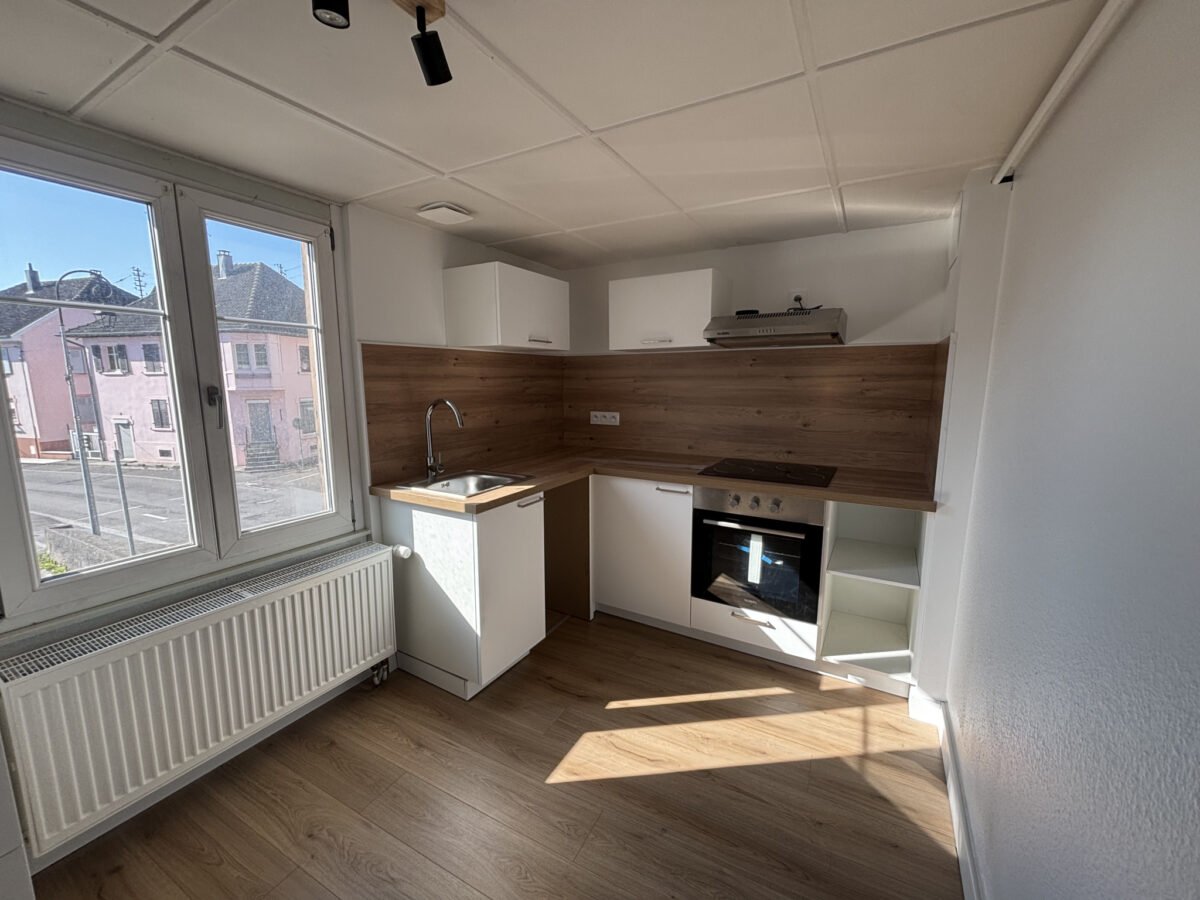 Appartement F5 DANNEMARIE